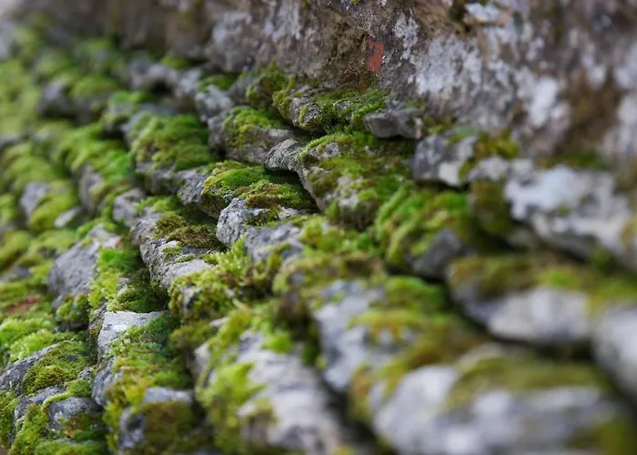 Bed & Breakfast Le Clos De La Tour Sainte-Nathalène